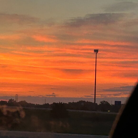 Meet your Posher, Mimi - Picture 5 of 6